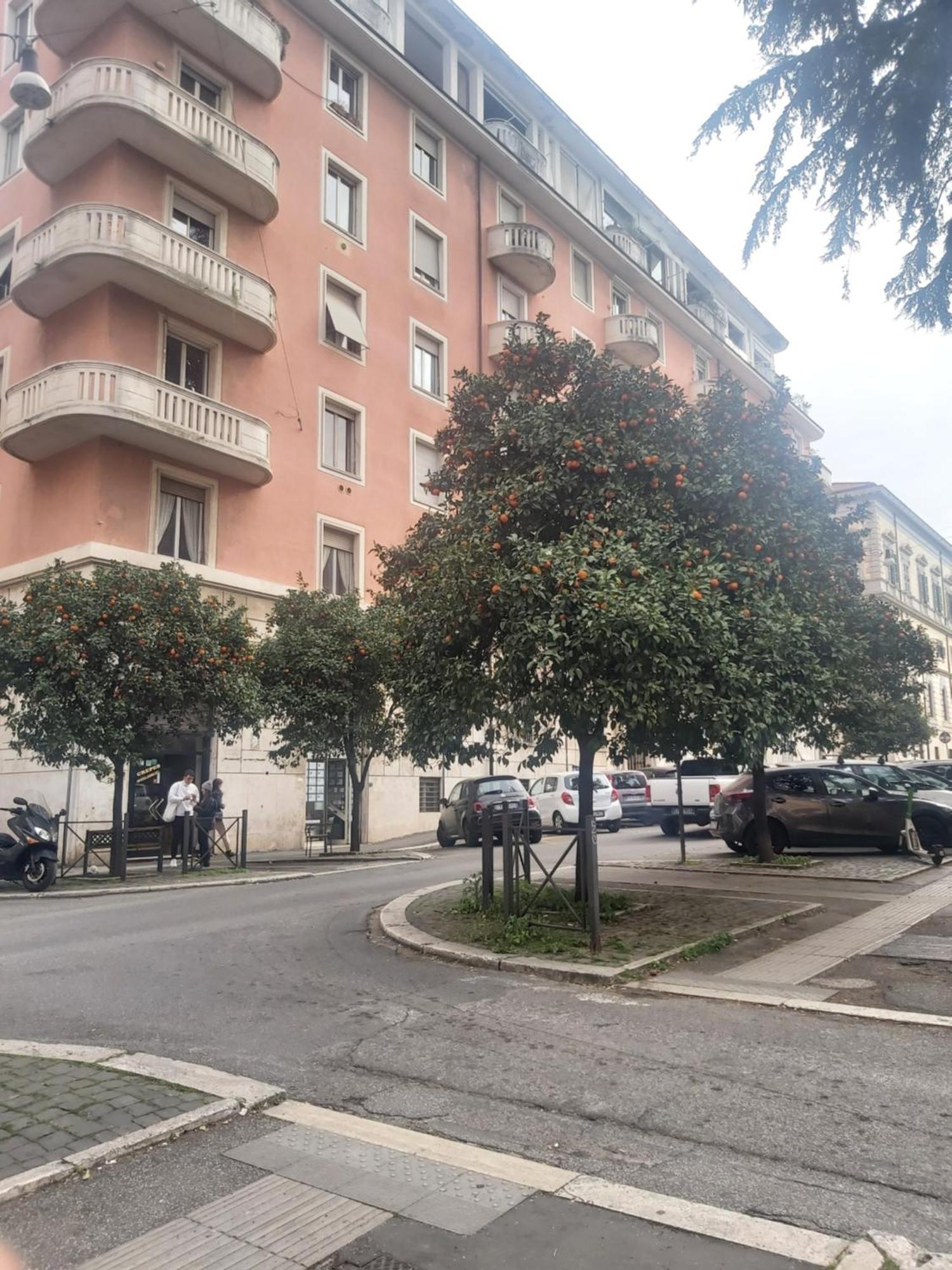 Holiday Colosseum Rome Bed and Breakfast Eksteriør billede